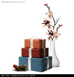 梅花禮品psd素材免費下載 編號604513 紅動網